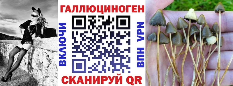 цены   Вышний Волочёк  Галлюциногенные грибы GOLDEN TEACHER 