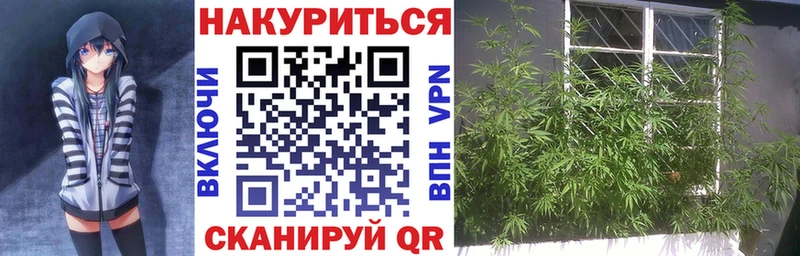 мориарти телеграм  Вышний Волочёк  Каннабис SATIVA & INDICA 